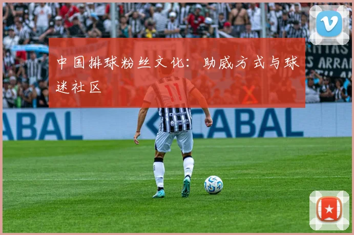 中国排球粉丝文化：助威方式与球迷社区